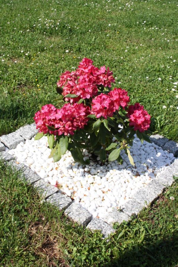 דירות קובלנץ Diamond House Deluxe 5 Koblenz מראה חיצוני תמונה